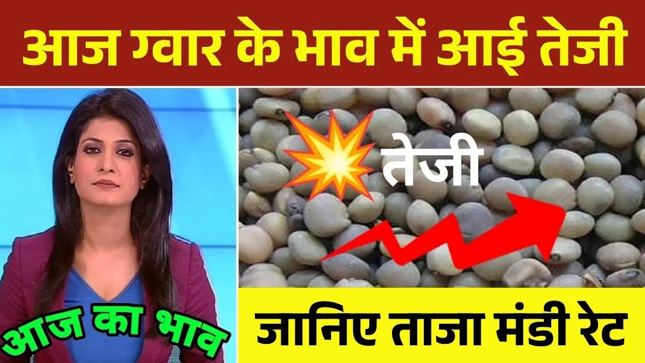 Guar Mandi Bhav Today